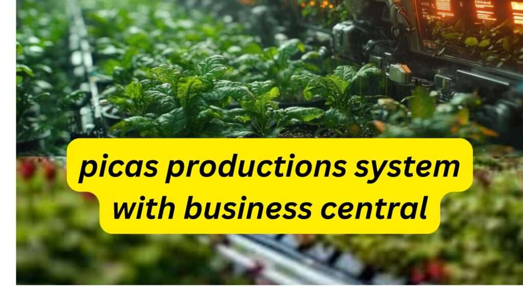 picas productions system with business central