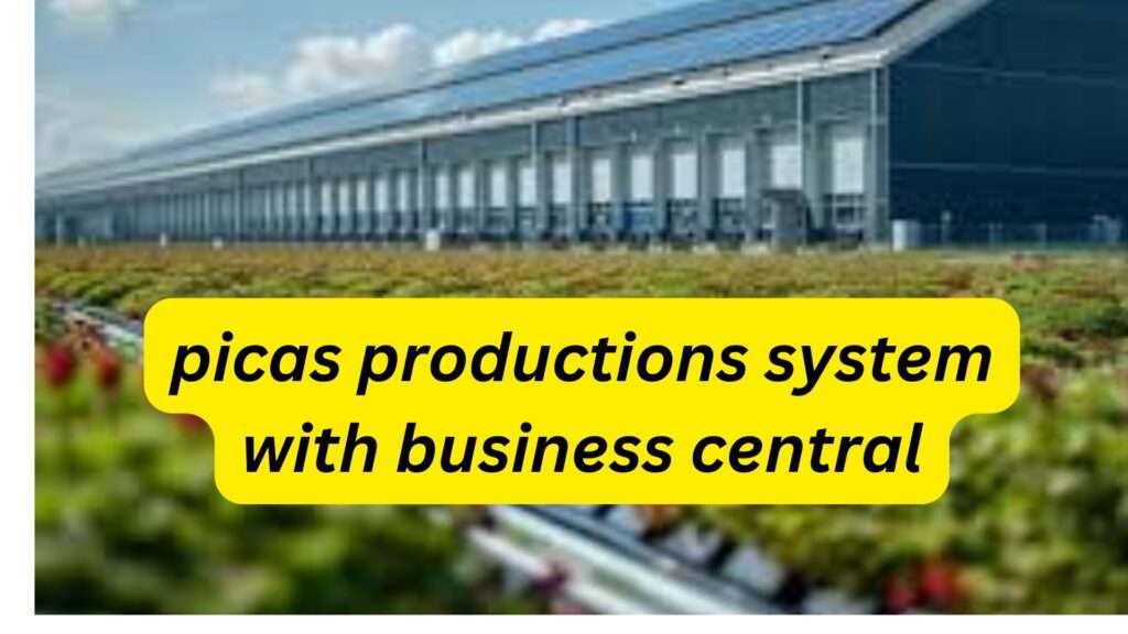 picas productions system with business central