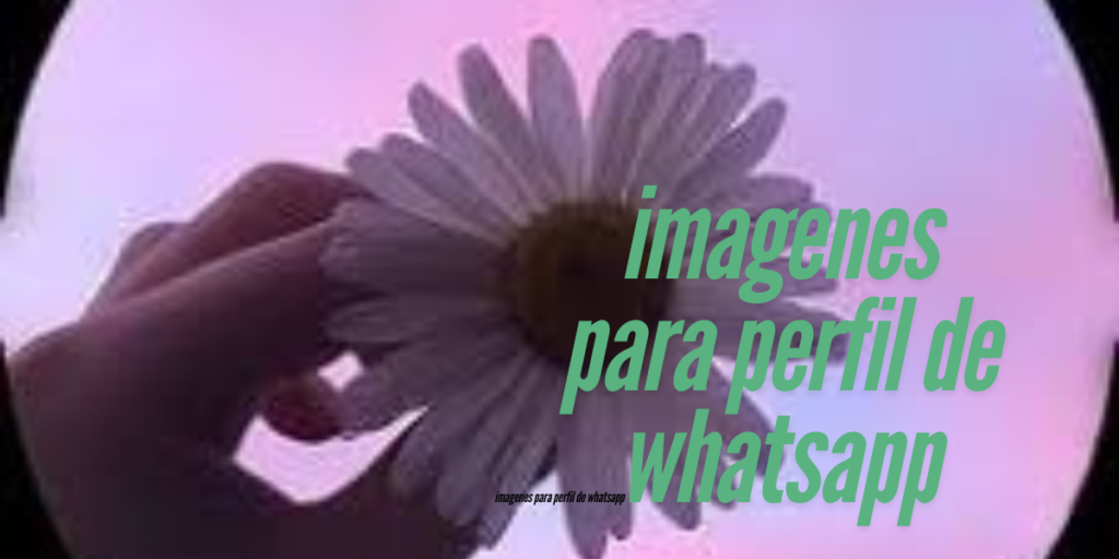 imagenes para perfil de whatsapp